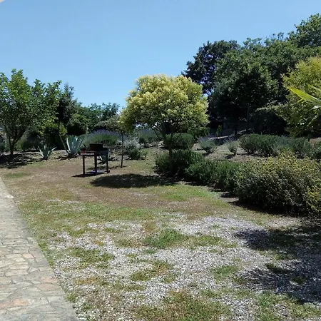 Le Fontanacce With Private Pool